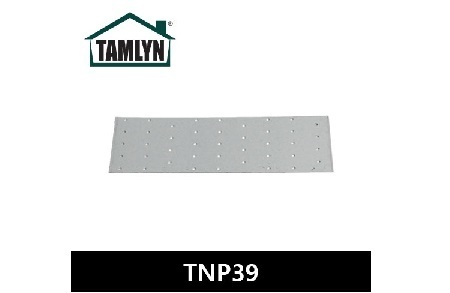 TNP39 (트러스네일플레이트)